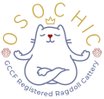 OsoChic Ragdolls osochicragdolls.co.uk