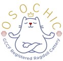 OsoChic Ragdolls logo, Ragdoll breeder in Devon